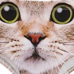 Meet your Posher, Seth